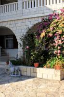 Domáce zviera alebo zvieratá hostí v ubytovaní Apartments by the sea Rogoznica - 1087