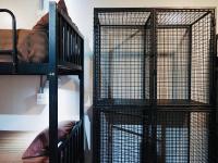 Postel nebo postele na pokoji v ubytování Wild Ones Hostel
