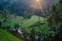 Suarapura Resort & Spa thumbnail 12