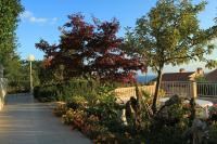 a garden with flowers and trees and a fence at Apartments with a parking space Rabac, Labin - 7442 in Rabac