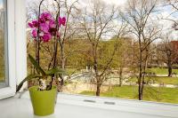 Zahrada ubytování Apartmá v srdci Poděbrad