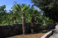 Vonkajšia záhrada v ubytovaní Apartments with a parking space Lovran, Opatija - 7713