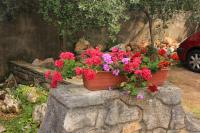 Vonkajšia záhrada v ubytovaní Apartments with a parking space Veli Losinj, Losinj - 8029