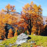Príroda v okolí apartmánu