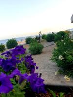 a garden with purple flowers in front of the beach at Platsa Studios in Megás Limniónas