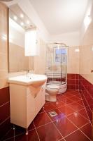 a bathroom with a toilet and a shower and a sink at Apartments with a parking space Komiza, Vis - 12325 in Komiža