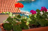 Vonkajšia záhrada v ubytovaní Apartments and rooms by the sea Brela, Makarska - 13118