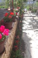 a row of potted flowers on a stone wall at Apartments with a parking space Grebastica, Sibenik - 13365 in Bašelovići