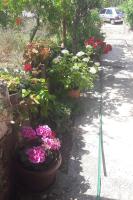 a group of pots of flowers in a garden at Apartments with a parking space Grebastica, Sibenik - 13365 in Bašelovići