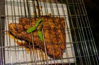 a piece of meat sitting on a wire basket at Manong Game Lodge in Gaborone