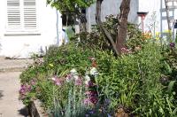 a garden of flowers in front of a house at Seaside secluded apartments Cove Blaca, Mljet - 615 in Saplunara