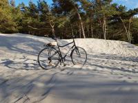 Jazda na bicykli v okolí ubytovania APARTAMENT 20B BLUE MARINE Poddąbie Basen Odkryty Brodziki Plac Zabaw dwie sypialnie