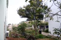 Vonkajšia záhrada v ubytovaní Apartments and rooms with parking space Mali Losinj (Losinj) - 2495