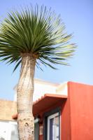 Půdorys ubytování VILLA PALMA CANARIAS
