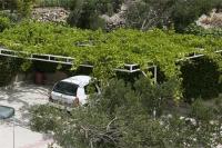 Zahrada ubytování Apartments by the sea Igrane, Makarska - 5266