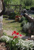 a garden with red flowers in the middle of a yard at Apartments with a parking space Zupanje, Krk - 5307 in Županje