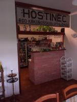 Lounge nebo bar v ubytování Penzion Pod Vyhlídkou