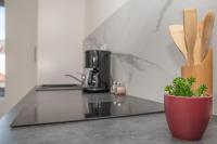 a kitchen counter with a plant in a red pot at Le Longeville in Longeville-lès-Metz