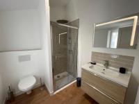 a bathroom with a toilet and a sink and a shower at Appartement Le Voltaire centre ville climatisé in Saumur