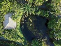 Woodstock Bungalow - Barra Grande - condo frente praiaにある庭