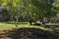 a house in the middle of a field with trees at Agricampeggio Madonna di Pogi in Bucine