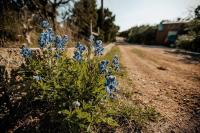 Grundriss der Unterkunft Fox Tiny Home - The Cabins at Rim Rock