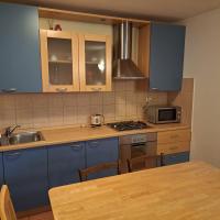 Kuchyňa alebo kuchynka v ubytovaní Apartment ŠODAN 72