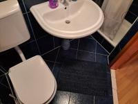 Kúpeľňa v ubytovaní Apartment ŠODAN 72