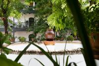 Vonkajšia záhrada v ubytovaní Andalusian Courtyard