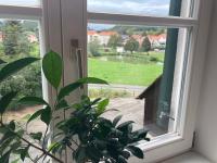 Vonkajšia záhrada v ubytovaní Sternenhimmel Gamlitz FeWo 3 SZ