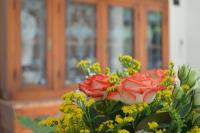 Ogród w obiekcie Agriturismo Torsivì