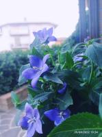Ogród w obiekcie La casa di Cristina