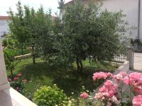 Vonkajšia záhrada v ubytovaní Apartments with a parking space Kastel Kambelovac, Kastela - 15480