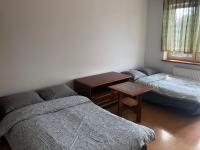 Postel nebo postele na pokoji v ubytování Blue River - Daszynskiego