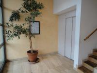 Plan piętra w obiekcie Logement type studio 1 piece proche zénith