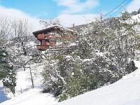 Mountain chalet v zime