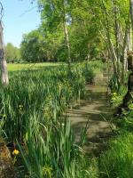 Plán poschodí v ubytovaní LES BELLES DU PRINTEMPS