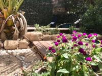 Zahrada ubytování Casa VivaQi Tenerife