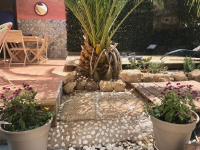 Zahrada ubytování Casa VivaQi Tenerife