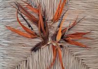 Půdorys ubytování Casa de las Flores - Hotel Boutique Lanzarote
