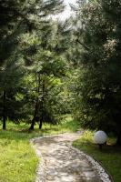 a stone path in a park with trees at Dolyna Mykolaya in Migovo