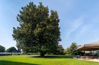 Ogród w obiekcie Hotel Villa I Pini