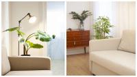 Posezení v ubytování Apartamentos Boutique Puerta de Reyes