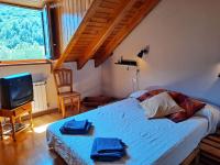 Posteľ alebo postele v izbe v ubytovaní Espot Natura - Apartament de muntanya al PN Aigüestortes i Sant Maurici