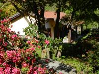 Vonkajšia záhrada v ubytovaní Casa Luciana