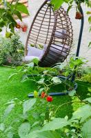 A garden outside Ivy, 4 minutes from the sea