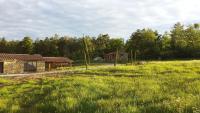 a house in the middle of a field at Agricampeggio Madonna di Pogi in Bucine