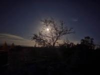 A rest after a day in the Death Valley desertの見取り図または間取り図