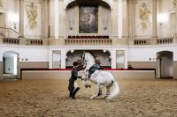 a man is fighting a white horse in a building at Holiday Inn Vienna City by IHG in Vienna