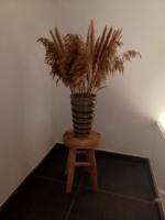 a plant in a vase sitting on a stool at Luxe-kamer Bed en Bokes 